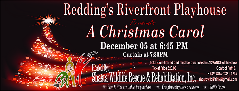 A Christmas Carol fundraiser